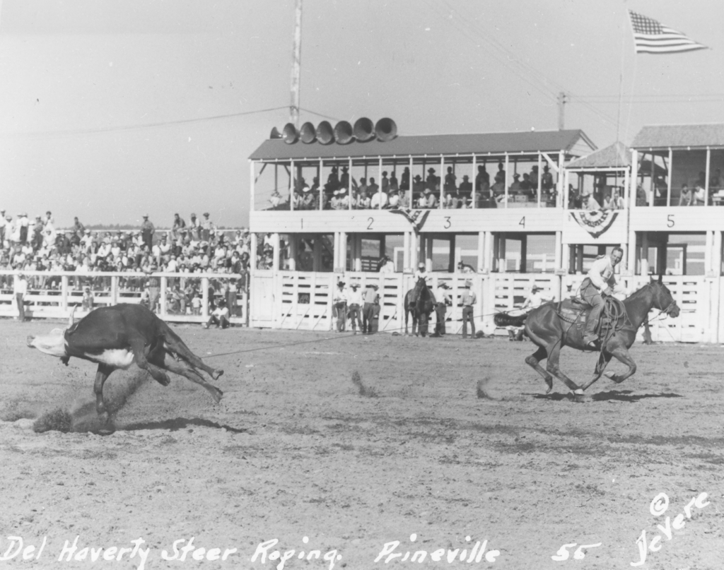 Del Haverty steer roping Crooked River RU 1955 DeVere Photo