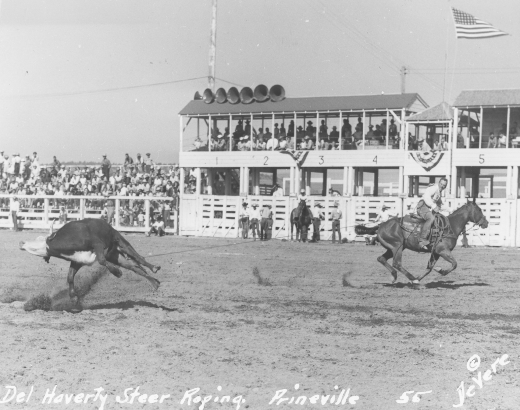 Del Haverty steer roping Crooked River RU 1955 DeVere Photo